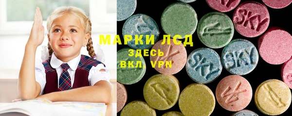 винт Алзамай