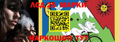 Альфа ПВП Кингисепп