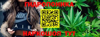 эйфоретик Кинель