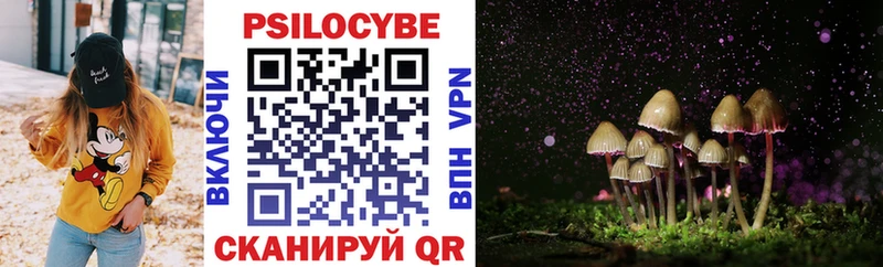 Псилоцибиновые грибы Psilocybe Ставрополь