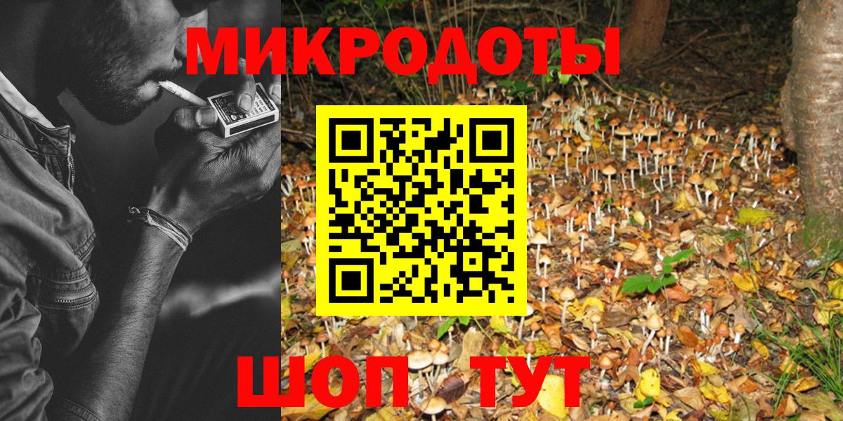 Псилоцибиновые грибы Psilocybe  Галлюциногенные грибы мицелий  Вход с VPN  Ставрополь 