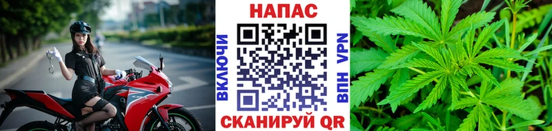 KRAKEN ссылки  Ставрополь  Каннабис Bruce Banner 